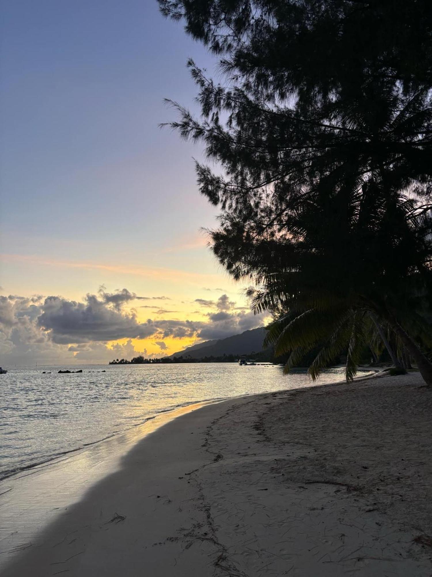 Beach De Reve De Moorea Hauru Exterior foto